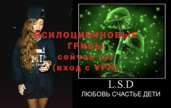 дмт Гусиноозёрск