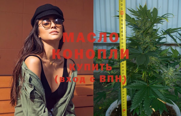 гашик Арсеньев