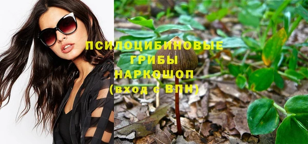 гашик Арсеньев