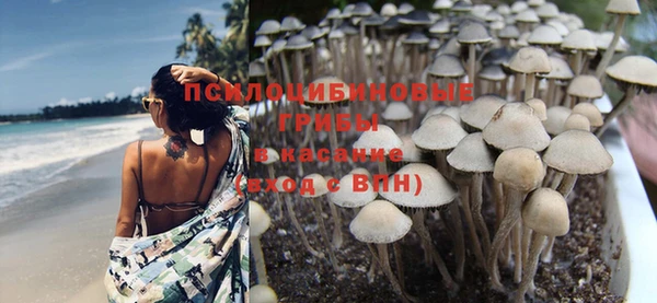 мет Армянск